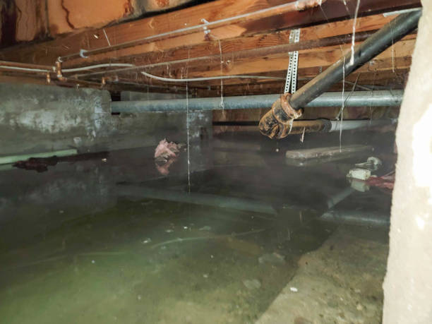 Best Water damage restoration near me  in La Quinta, CA