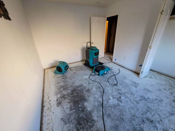 Best Residential water damage restoration  in La Quinta, CA