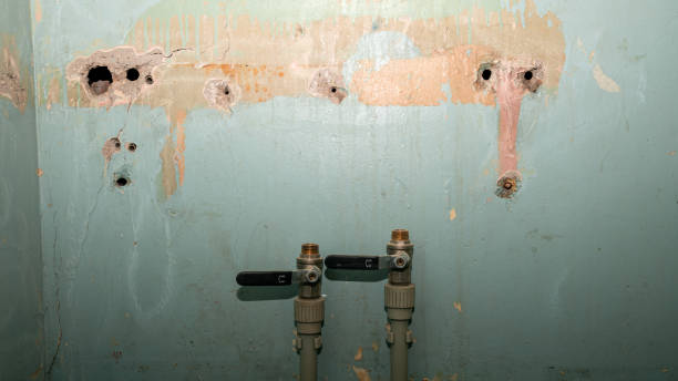Best Water damage contractors near me  in La Quinta, CA