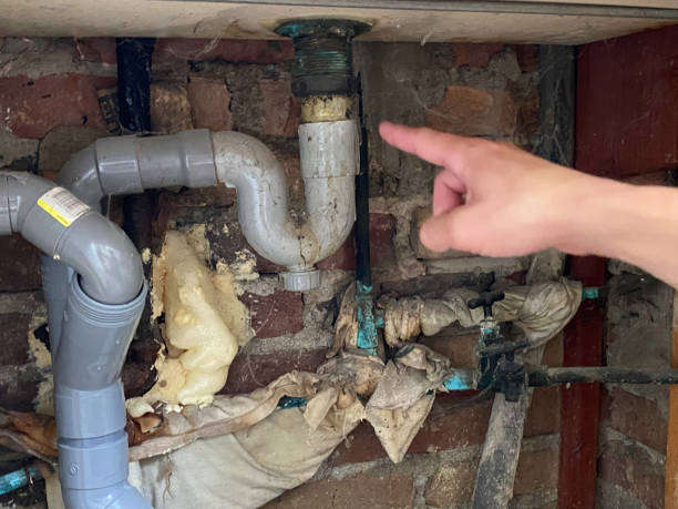 Best Carpet water damage restoration  in La Quinta, CA
