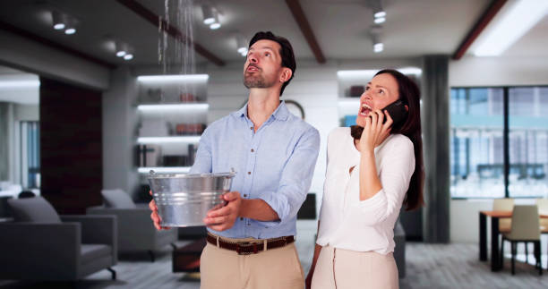 Best Flood damage cleanup  in La Quinta, CA