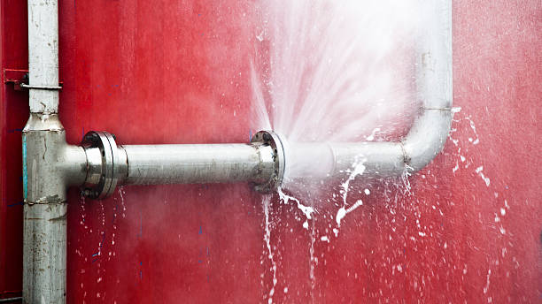 Best Professional water damage repair  in La Quinta, CA